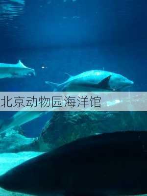 北京动物园海洋馆