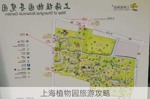 上海植物园旅游攻略