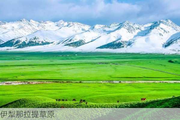 伊犁那拉提草原