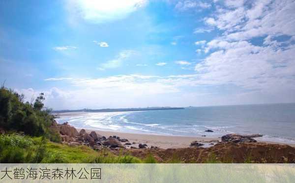 大鹤海滨森林公园