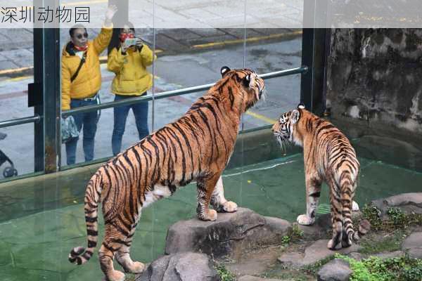 深圳动物园