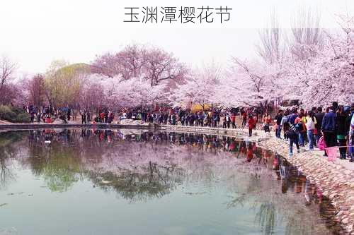 玉渊潭樱花节