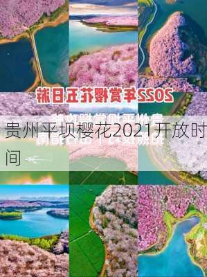 贵州平坝樱花2021开放时间