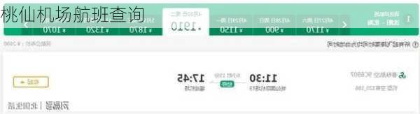 桃仙机场航班查询