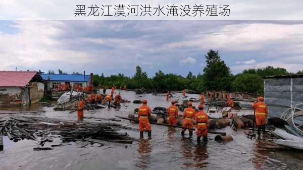 黑龙江漠河洪水淹没养殖场