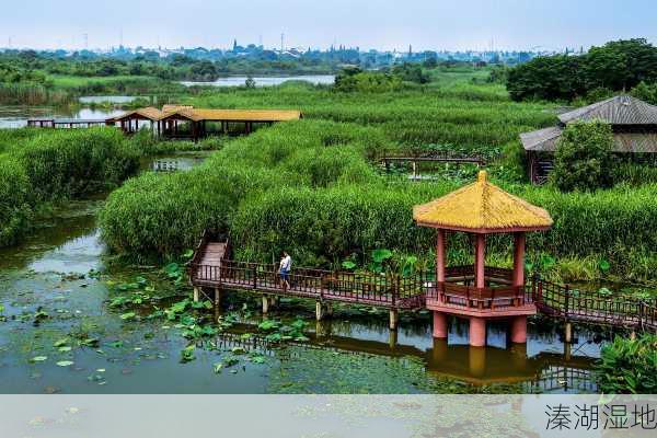 溱湖湿地